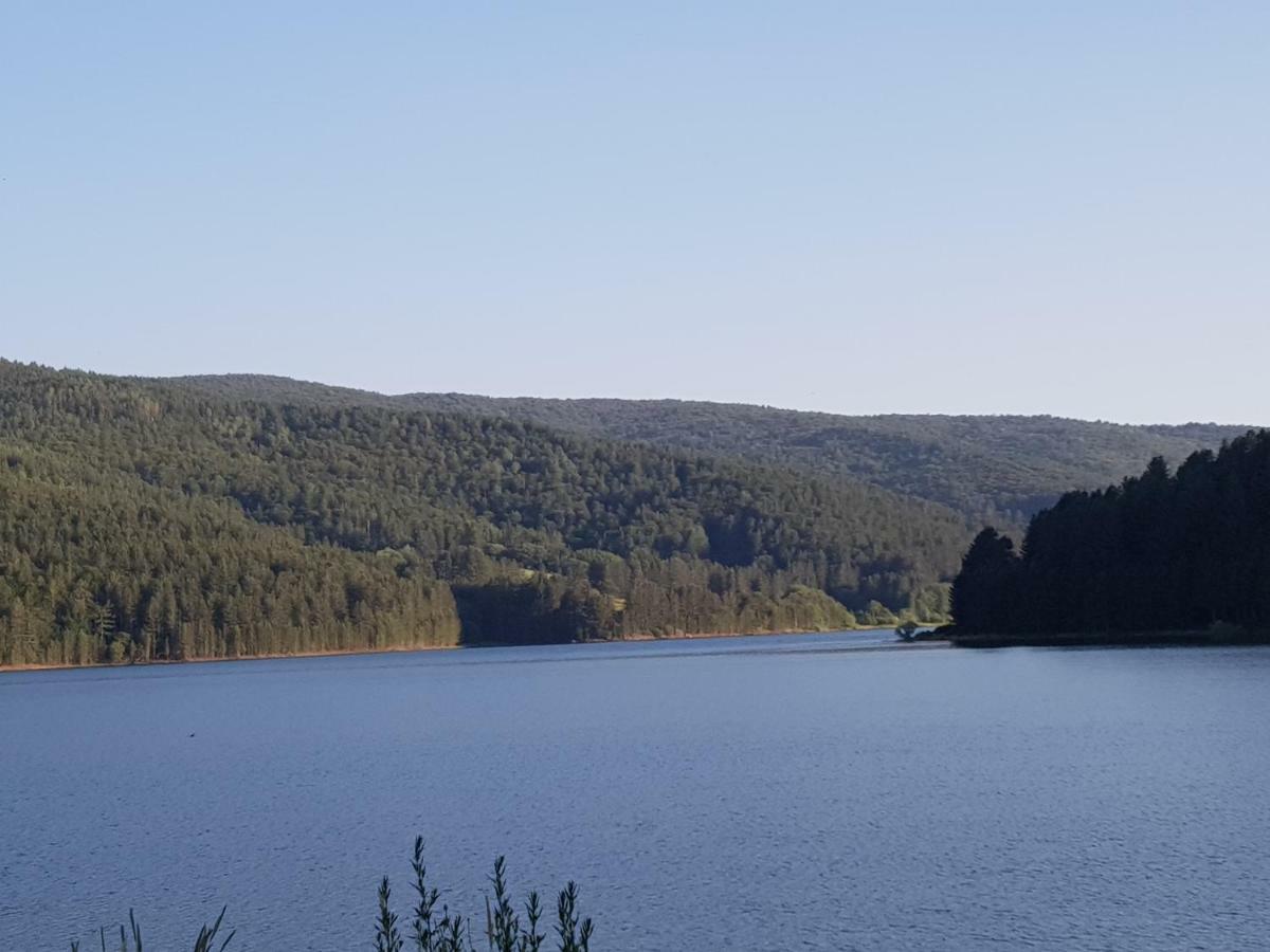 Lorica Suite Lago מראה חיצוני תמונה