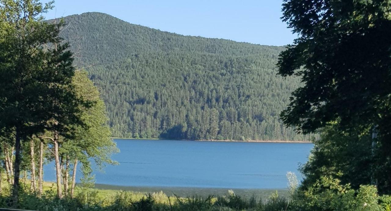 Lorica Suite Lago מראה חיצוני תמונה