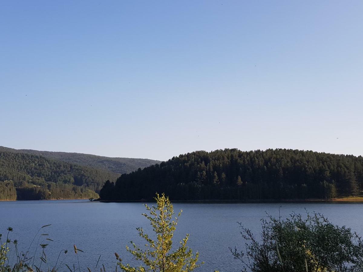 Lorica Suite Lago מראה חיצוני תמונה